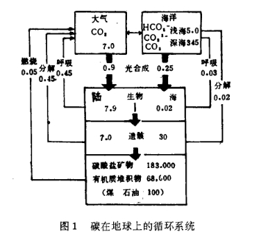 碳的生成（1）